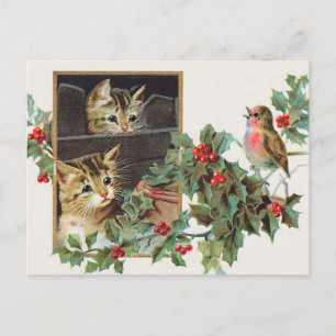 Vintage holly cats and bird christmas holiday postcard