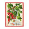 Vintage Holly Holiday Postcard