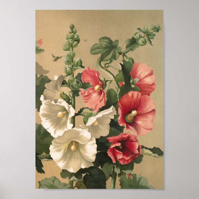 Vintage Hollyhocks Art Poster (Front)