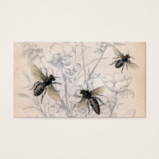 Vintage Honey Bee Art Print