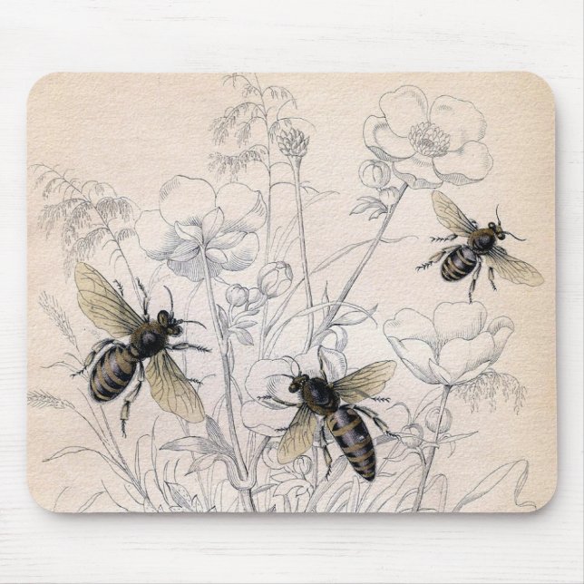 Vintage Honey Bee Art Print Mouse Pad (Front)