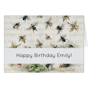 Vintage Honey Bee Queen Bee Entomology Botanical