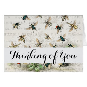 Vintage Honey Bee Queen Bee Entomology Botanical