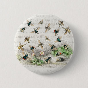 Vintage Honey Bee Queen Bee Entomology Botanical 6 Cm Round Badge
