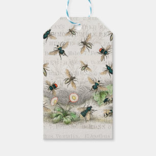 Vintage Honey Bee Queen Bee Entomology Botanical Gift Tags