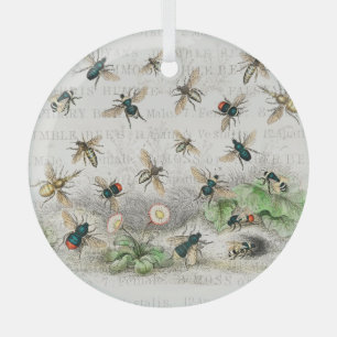 Vintage Honey Bee Queen Bee Entomology Botanical Glass Tree Decoration