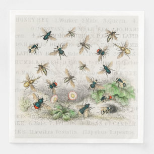 Vintage Honey Bee Queen Bee Entomology Botanical Napkin