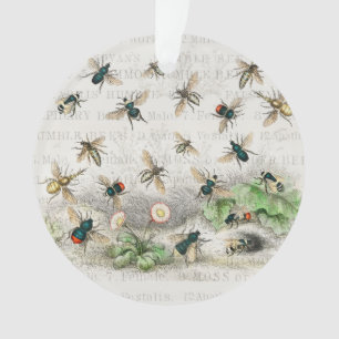Vintage Honey Bee Queen Bee Entomology Botanical Ornament