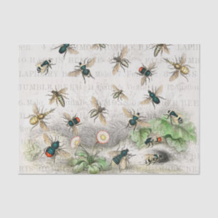 Vintage Honey Bee Queen Bee Entomology Botanical Tissue Paper