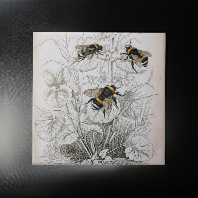 Vintage HoneyBee Illustration | Ceramic Tile (Creator Uploaded)