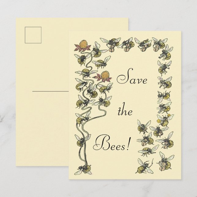 Vintage Honeybees Playing Music Save the Bees  Postcard (Front/Back)