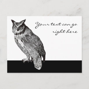 Vintage Horned Owl Postcard