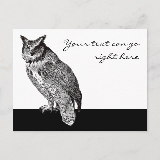 Vintage Horned Owl Postcard (Front)