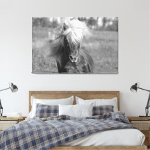 Vintage Horse Black and White