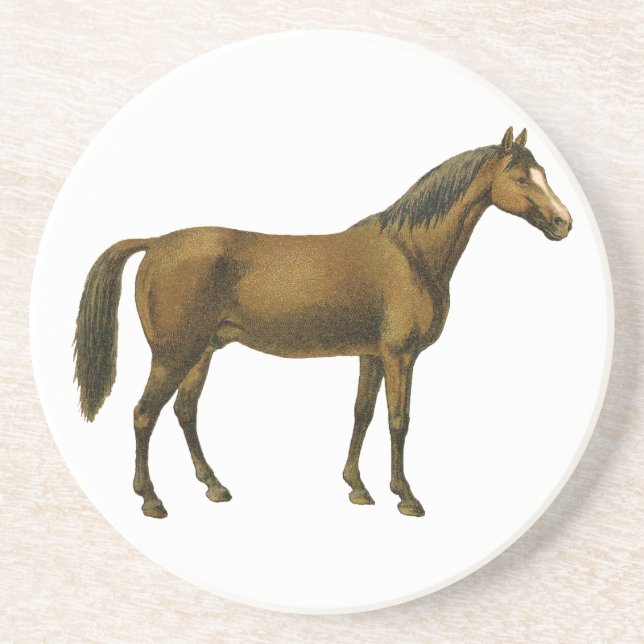 Vintage Horse Coaster (Front)