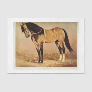 Vintage Horse Ephemera Decoupage Tissue Paper