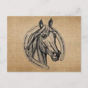 Vintage Horse Postcard