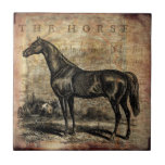 Vintage Horse Thoroughbred and Arabian Horses Tile<br><div class="desc">Use our cool template, artwork, photo, graphic, or illustration, then add a name, text, quote, or monogram to create your own custom or monogrammed photo trivet. Click the "Customise it!" button to make it totally customised. These photo tiles are great gifts for men, women, and kids (and you, too, of...</div>