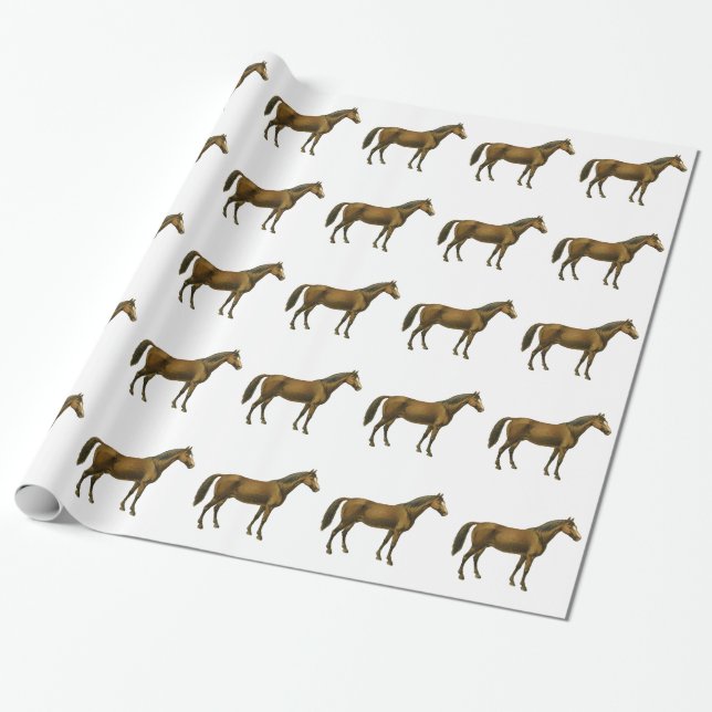 Vintage Horse Wrapping Paper (Unrolled)