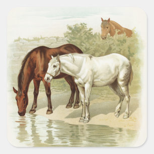 Vintage horses any purpose sticker