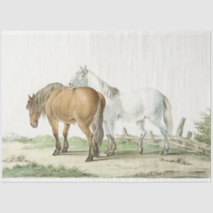 Vintage Horses in Pasture Country Tissue Paper