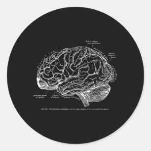 Vintage Human Anatomy Brain T- Classic Round Sticker