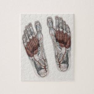 Vintage Human Anatomy Footprint Podiatry Foot Jigsaw Puzzle