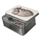 Vintage Human Anatomy Heart Organs Healthy