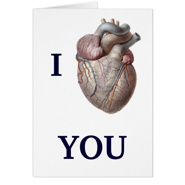 Vintage Human Anatomy, I Heart Love You (Front)