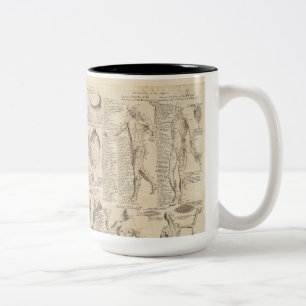 Vintage human anatomy mug