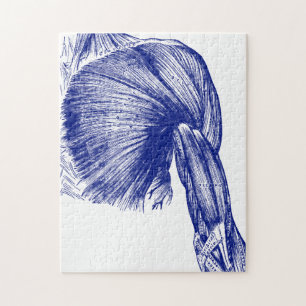 Vintage Human Anatomy Muscles of the Chest Jigsaw Puzzle