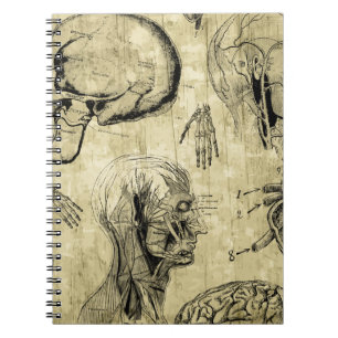 Vintage Human Anatomy Notebook