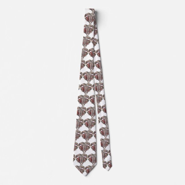 Vintage Human Anatomy Science, Eyeballs Eyes Tie (Front)