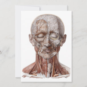 Vintage Human Anatomy Science, Head Throat Nose
