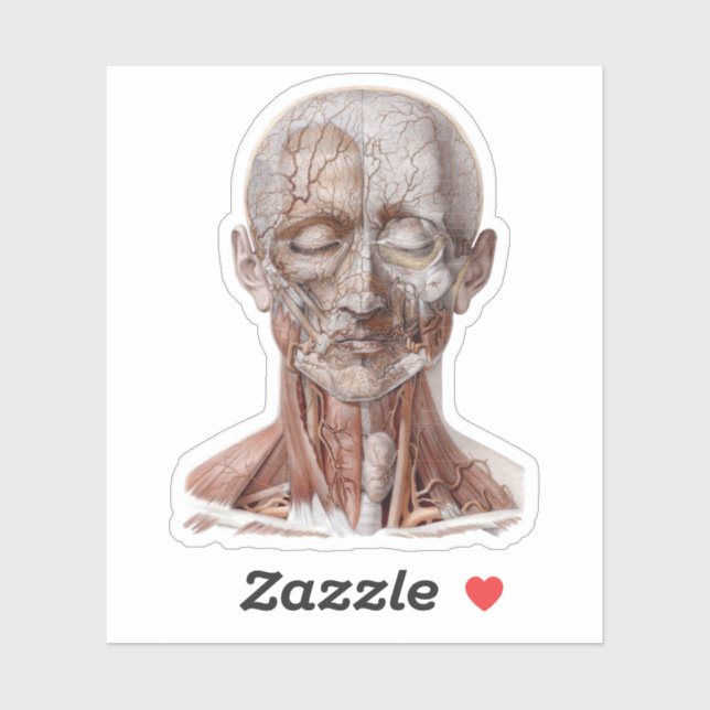 Vintage Human Anatomy Science, Head Throat Nose (Sheet)