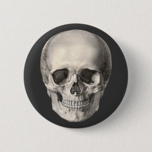 Vintage Human Anatomy Skull, Halloween Skeleton 6 Cm Round Badge