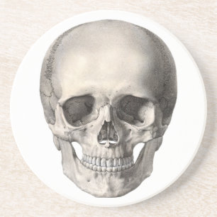 Vintage Human Anatomy Skull, Halloween Skeleton Coaster