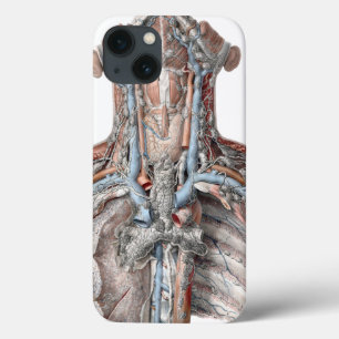 Vintage Human Anatomy Throat, Neck, Chest, Ribs iPhone 13 Case