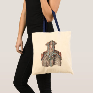 Vintage Human Anatomy Throat, Neck, Chest, Ribs Tote Bag
