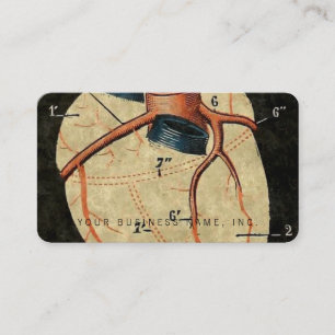 Vintage Human Heart Diagram Business Card