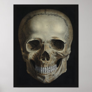 Vintage Human Skull Black Print