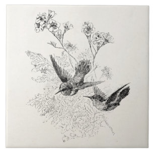 Vintage Hummingbird Antique Birds Template Tile