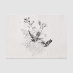 Vintage Hummingbird Antique Birds Template Tissue Paper