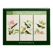 Vintage Hummingbird Art 2026