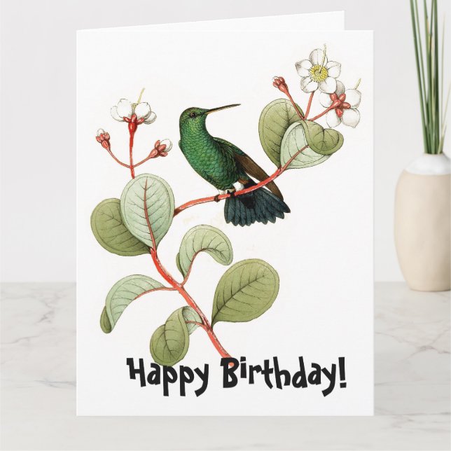 Vintage Hummingbird Bird Birthday Greeting Card (Front)