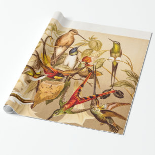 Vintage Hummingbird Bird Hummingbirds Birds Birds Wrapping Paper
