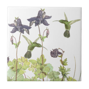 Vintage Hummingbird Birds Wildlife Flowers Tile