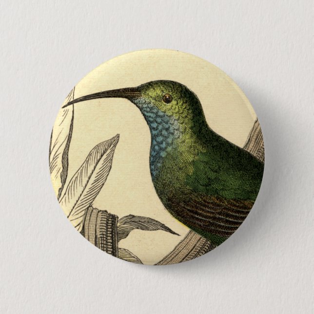 Vintage Hummingbird Button (Front)