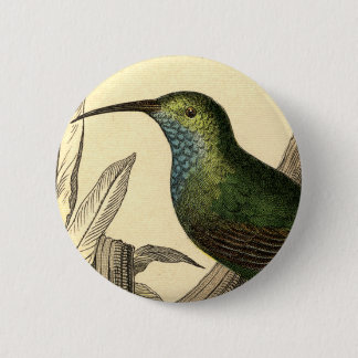 Vintage Hummingbird Button