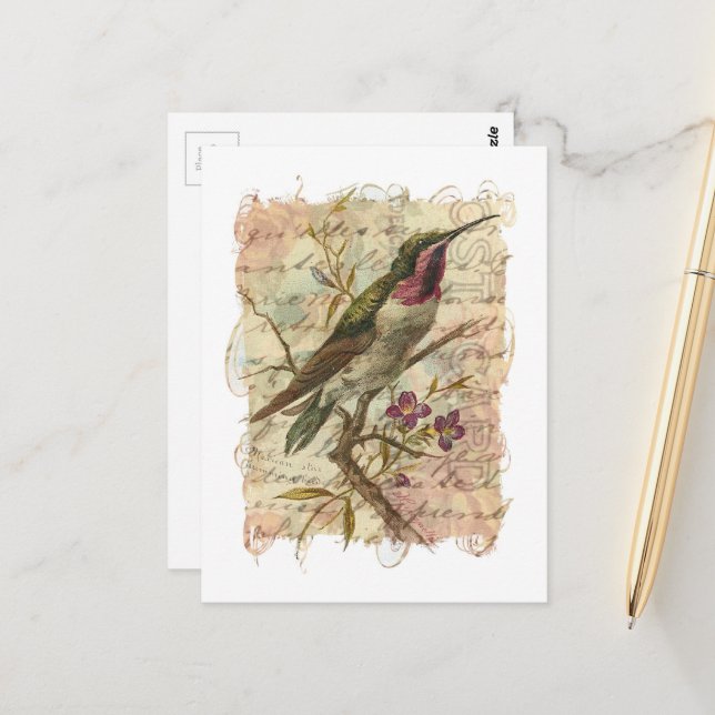 Vintage Hummingbird Collage Postcard (Front/Back In Situ)